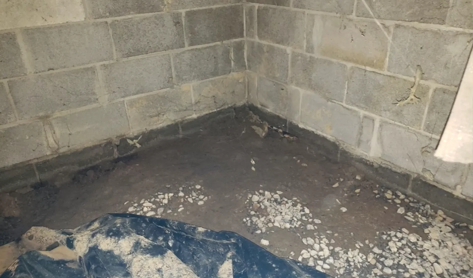 is crawl space encapsulation worth it or a scam decision guide